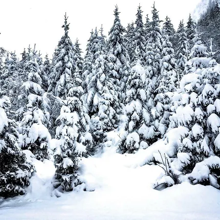 Alpenzauber Арцль (Пицталь)