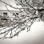 Alpenzauber Apartment *