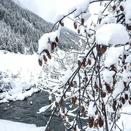 Alpenzauber 公寓 阿泽皮茨陶