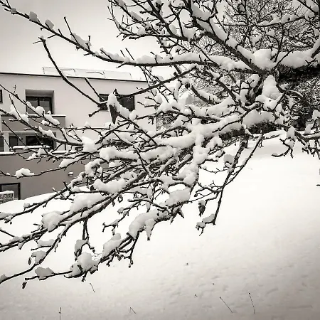 Alpenzauber 公寓 *