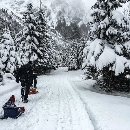 公寓 Alpenzauber 阿泽皮茨陶
