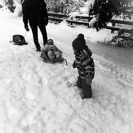 公寓 Alpenzauber 阿泽皮茨陶